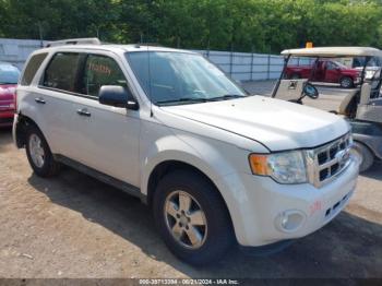  Salvage Ford Escape