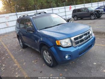  Salvage Ford Escape