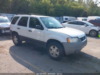  Salvage Ford Escape