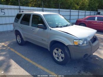  Salvage Ford Escape