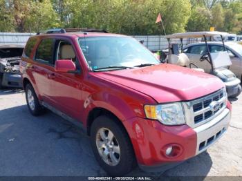  Salvage Ford Escape