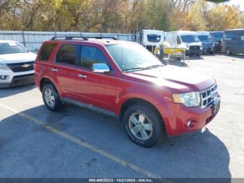  Salvage Ford Escape