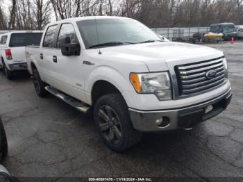  Salvage Ford F-150