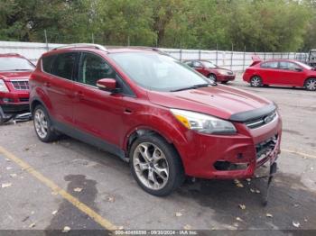  Salvage Ford Escape