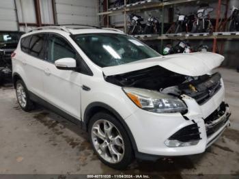  Salvage Ford Escape