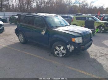  Salvage Ford Escape