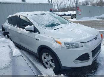  Salvage Ford Escape