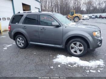  Salvage Ford Escape