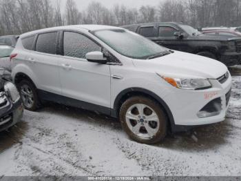  Salvage Ford Escape