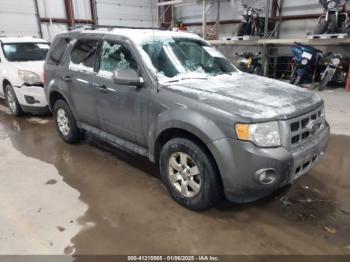  Salvage Ford Escape