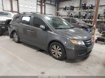  Salvage Honda Odyssey