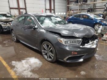  Salvage Acura TLX