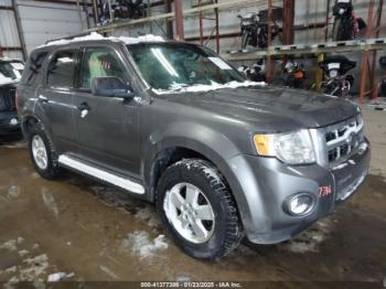  Salvage Ford Escape