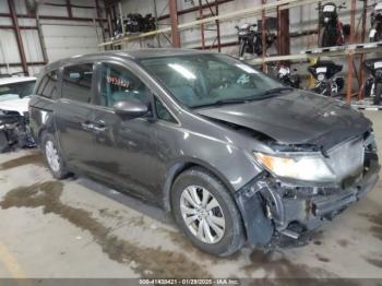  Salvage Honda Odyssey