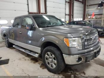  Salvage Ford F-150