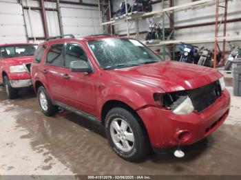  Salvage Ford Escape