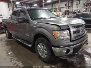  Salvage Ford F-150