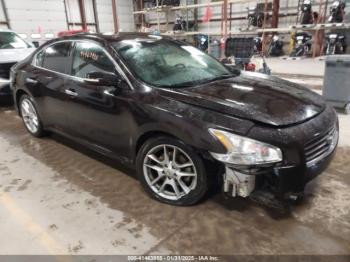  Salvage Nissan Maxima