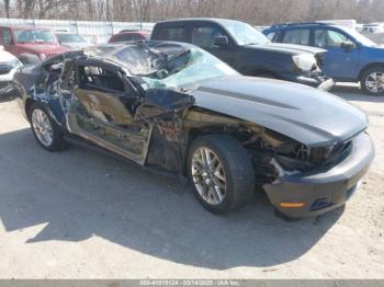  Salvage Ford Mustang