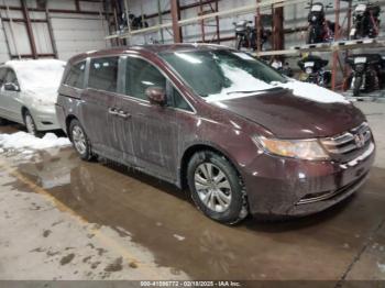  Salvage Honda Odyssey