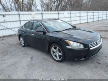  Salvage Nissan Maxima