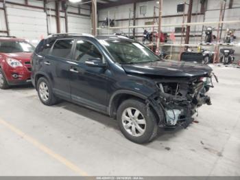  Salvage Kia Sorento