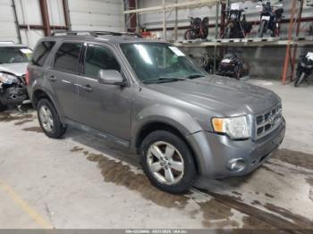  Salvage Ford Escape