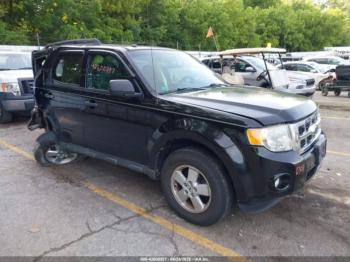  Salvage Ford Escape