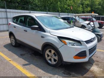  Salvage Ford Escape
