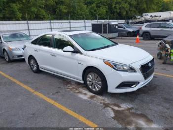  Salvage Hyundai SONATA