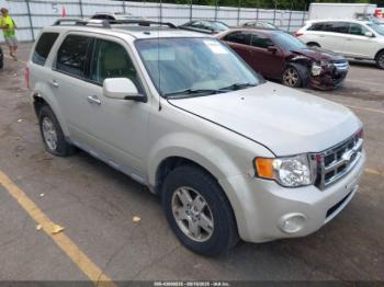  Salvage Ford Escape