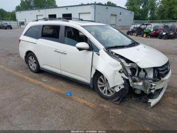  Salvage Honda Odyssey