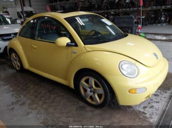  Salvage Volkswagen Beetle