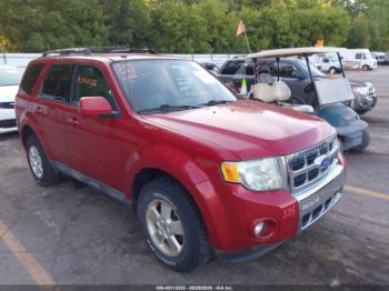  Salvage Ford Escape