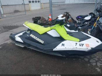  Salvage Sea-Doo Other