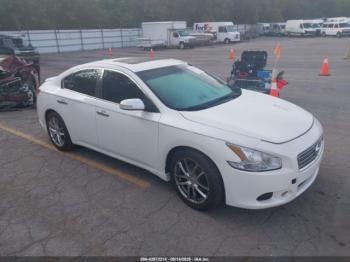  Salvage Nissan Maxima