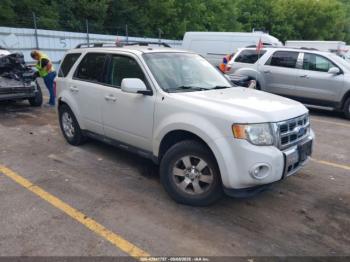  Salvage Ford Escape