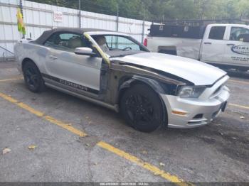  Salvage Ford Mustang