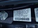 Honda CR-V Ex Image 5