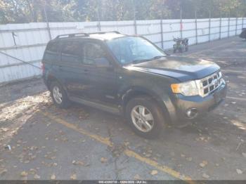  Salvage Ford Escape