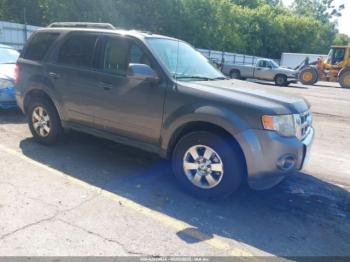 Salvage Ford Escape