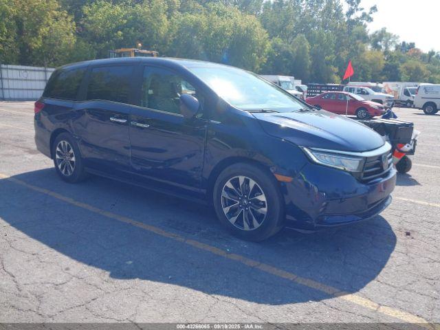  Salvage Honda Odyssey