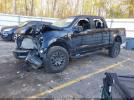 Ford F-150 Tremor Image 2