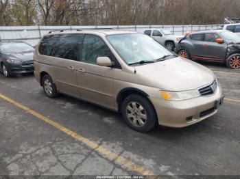  Salvage Honda Odyssey