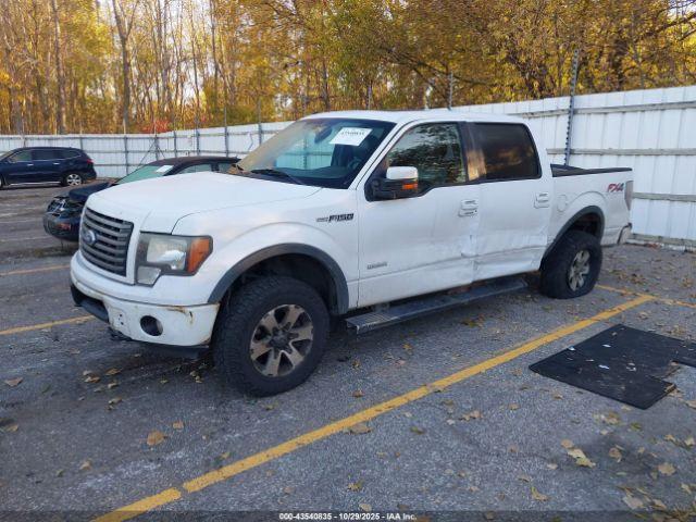 Ford F-150 Fx4 Image 2