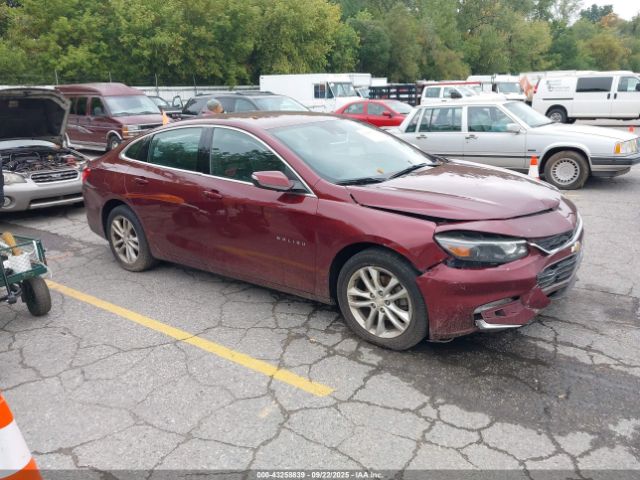 Chevrolet Malibu 1lt Image 1