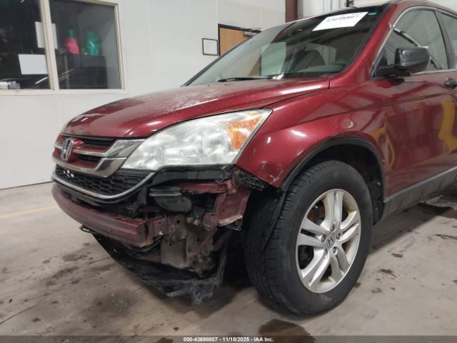 Honda CR-V Ex Image 6