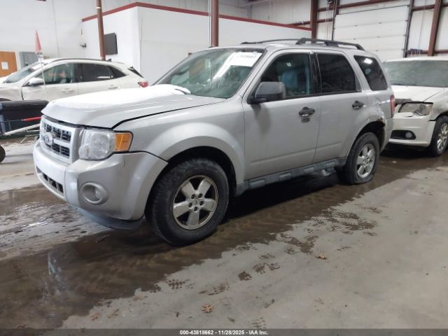 Ford Escape Xlt Image 11