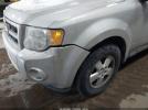 Ford Escape Xlt Image 8