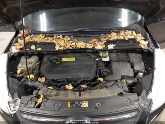 Ford Escape Se Image 10